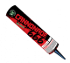 CANNONADE 666 (666 BALLS WITH REPORT)