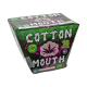 Wholesale Fireworks - Cotton Mouth Case 6/1